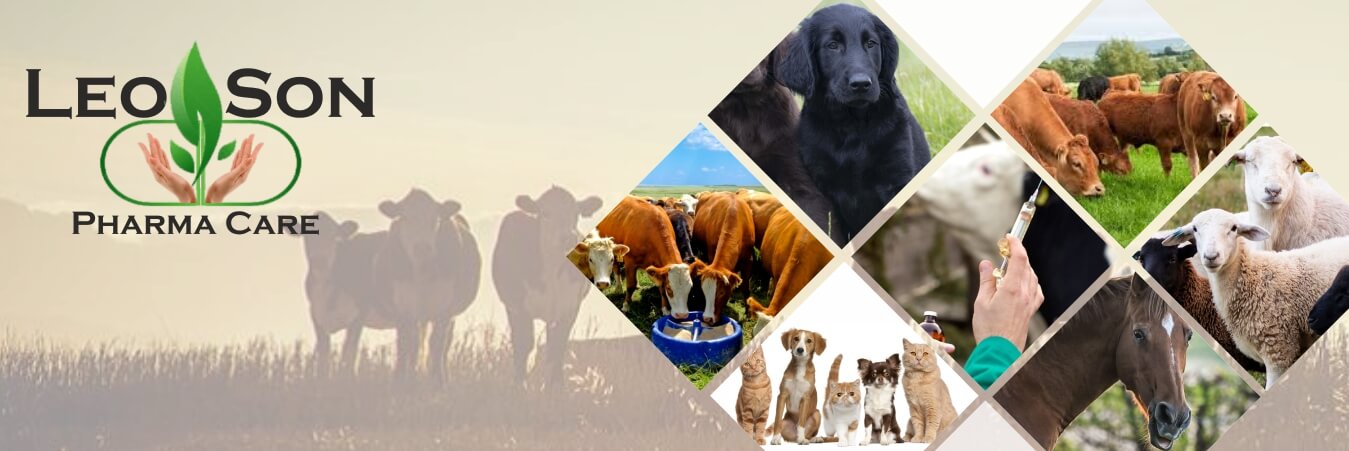 Leoson Pharma Care