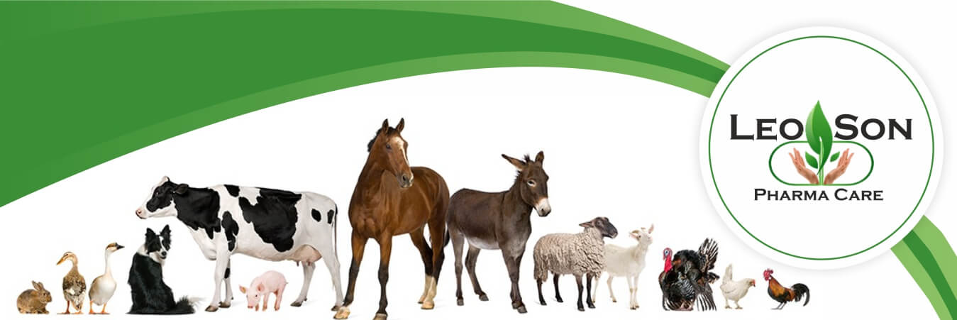 Leoson Pharma Care